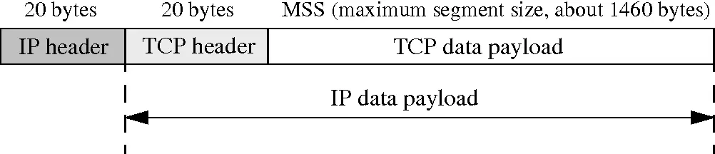TCP数据封装在IP数据中